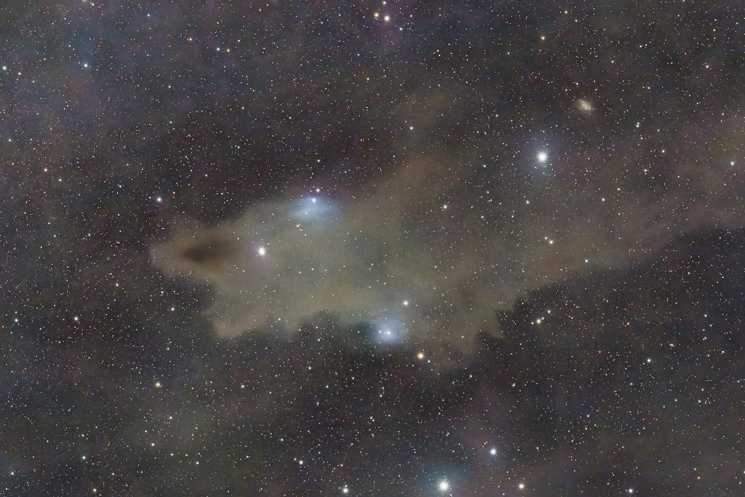 Shark Nebula